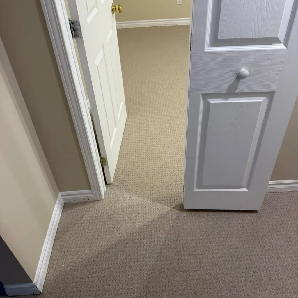 Beige patterned carpet running through a basement bedroom doorway