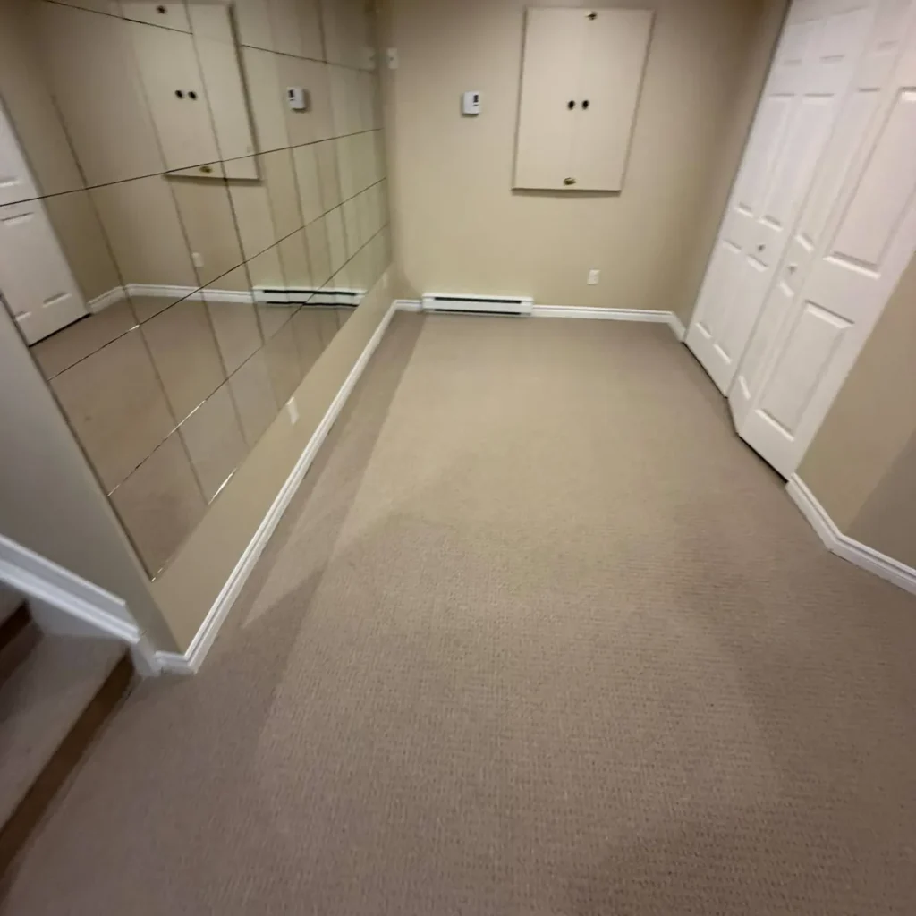 Basement room with a mirrored wall and beige loop carpet