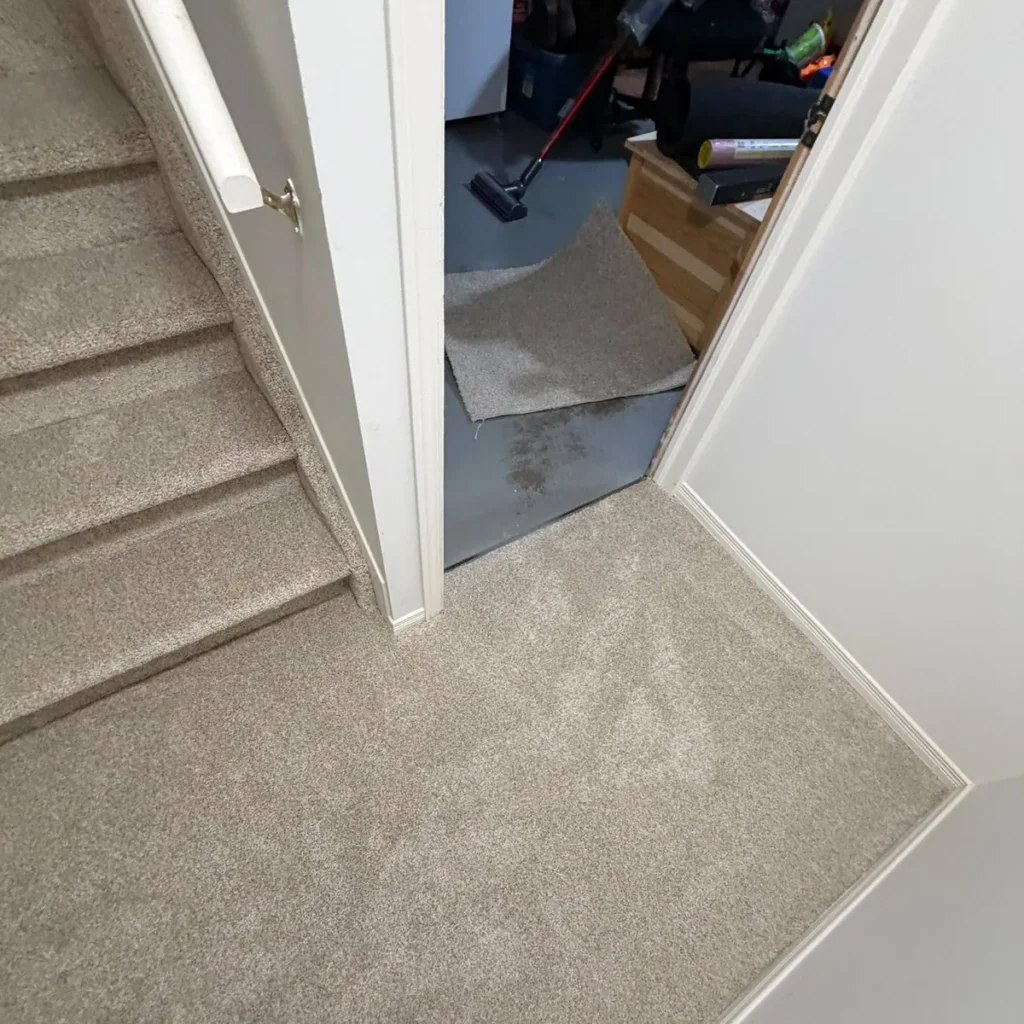 Beige plush carpet on basement stairs and landing